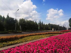 扮靚外環(huán)道路，花意盎然迎“雙節(jié)”